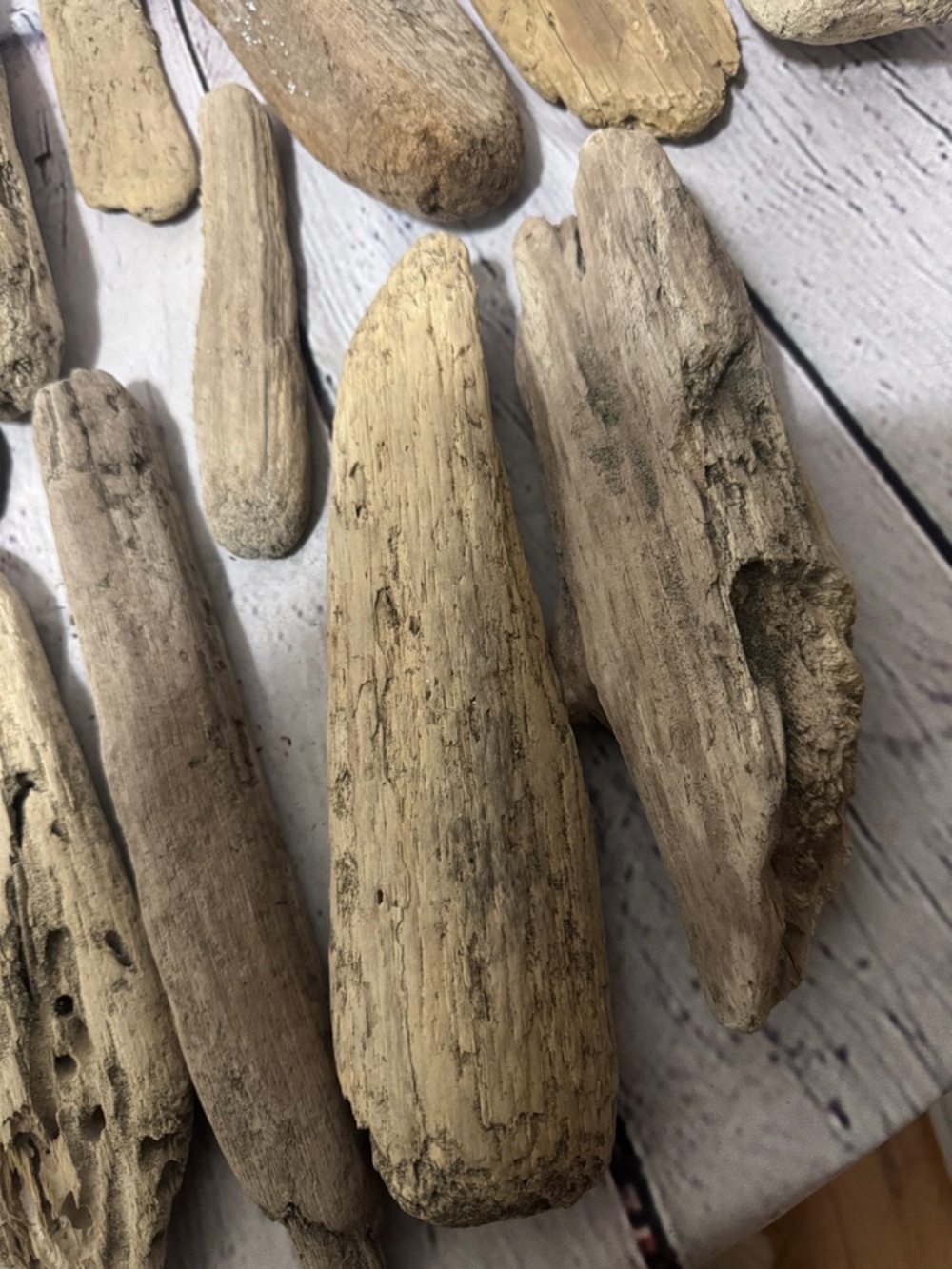 20 pieces PNW Pacific Ocean Grays Harbor Natural Driftwood Home Accent Bundle - Picture 11 of 17